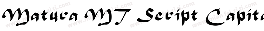 Matura MT Script Capitals字体转换